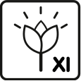 Bloeimaanden: 11 – 12