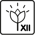 Bloeimaanden: 11 – 12