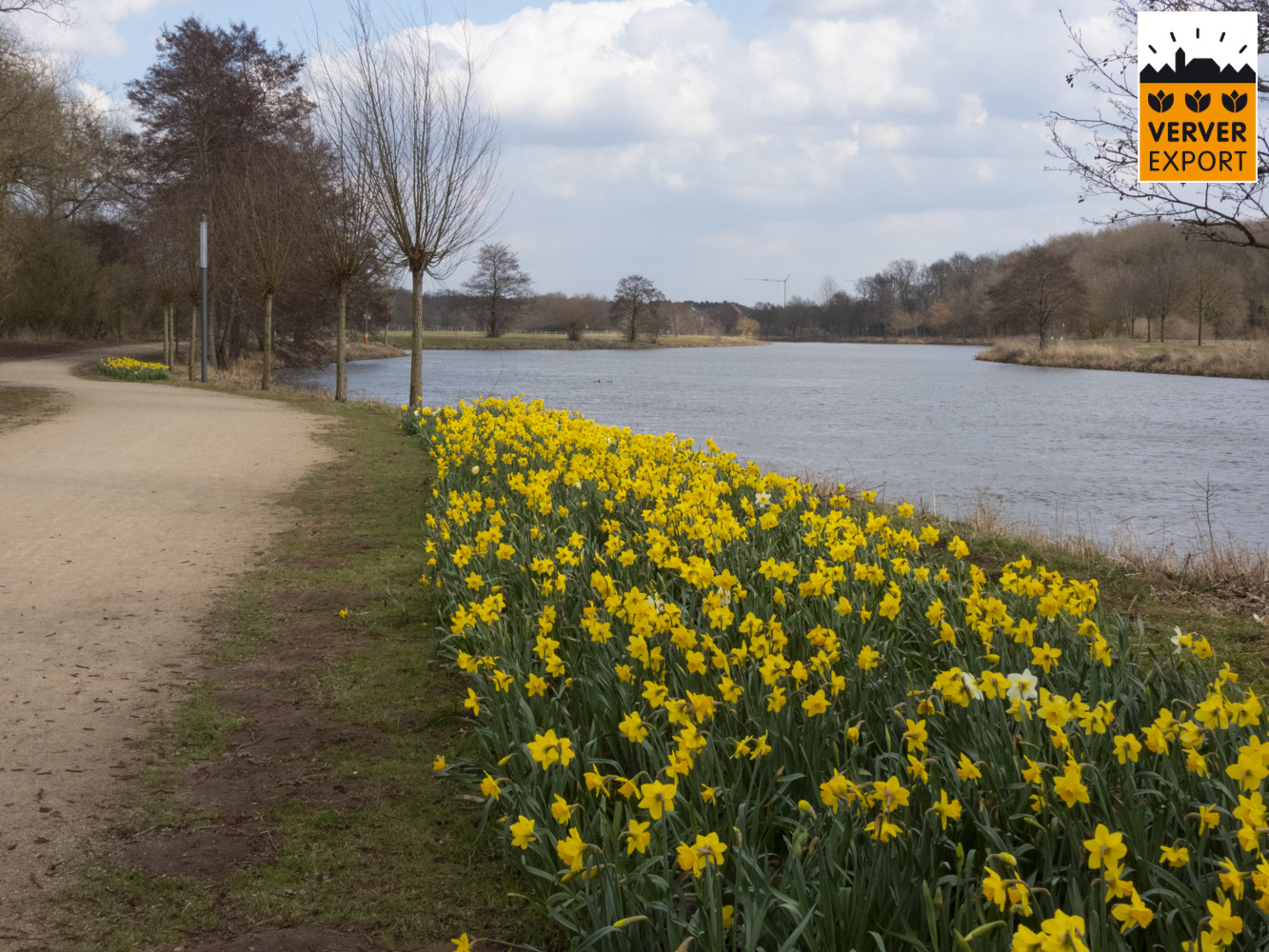 Verver Export machinaal planten