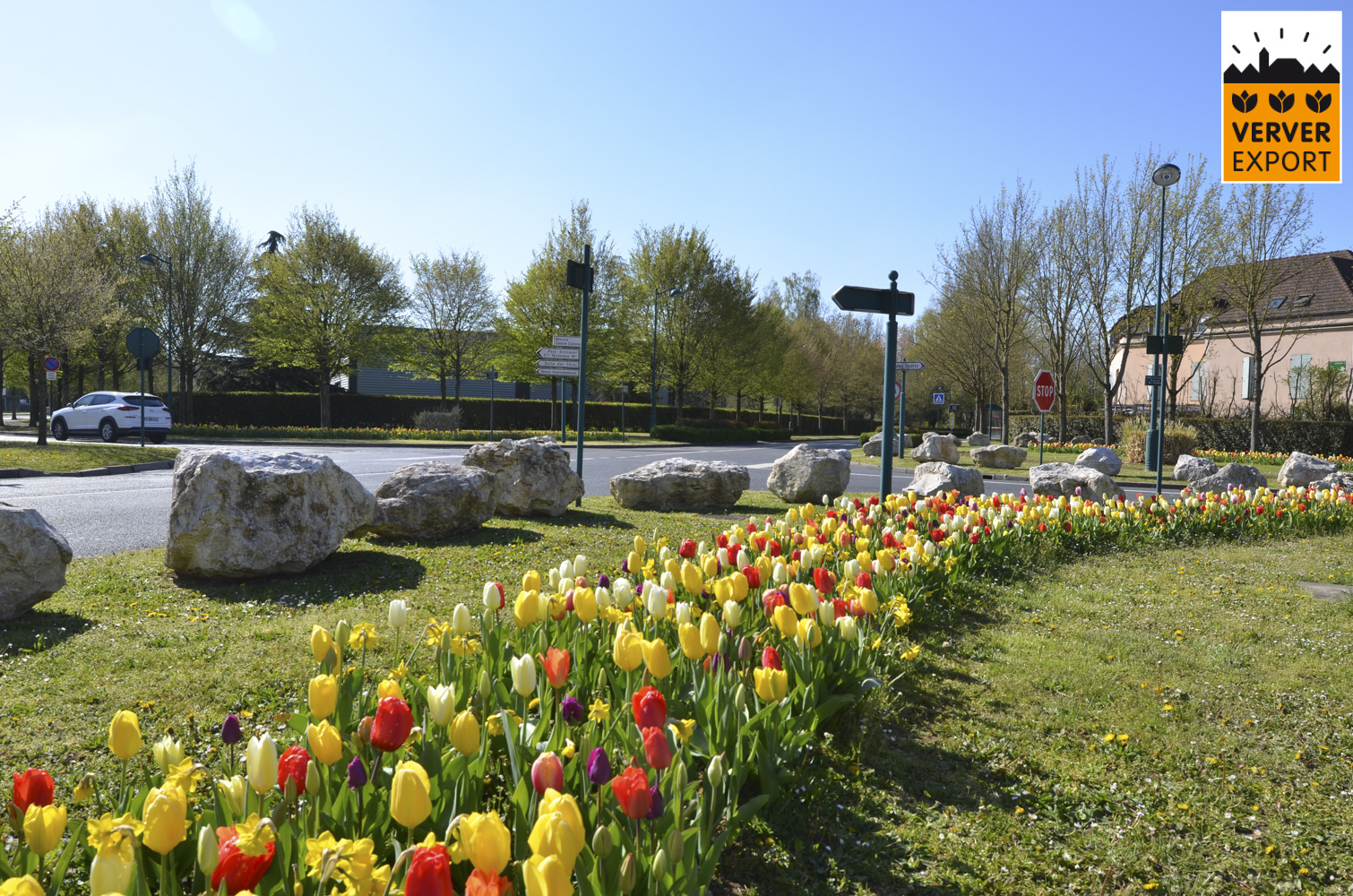 Verver Export machinaal planten