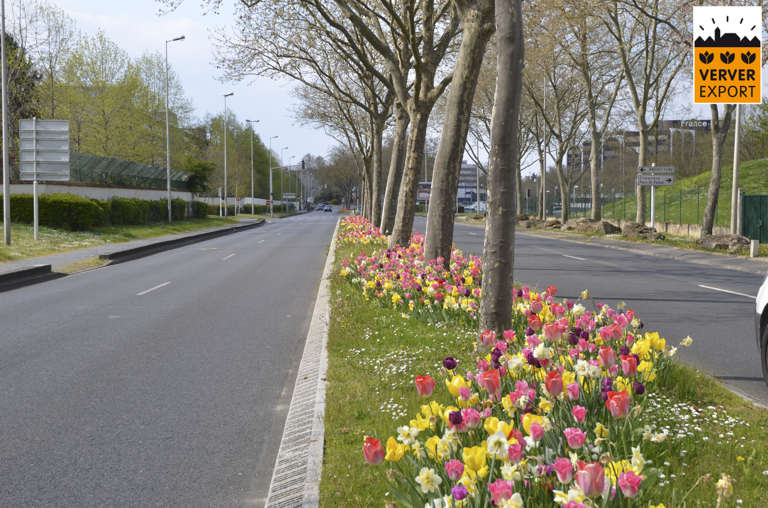 Verver Export machinaal planten