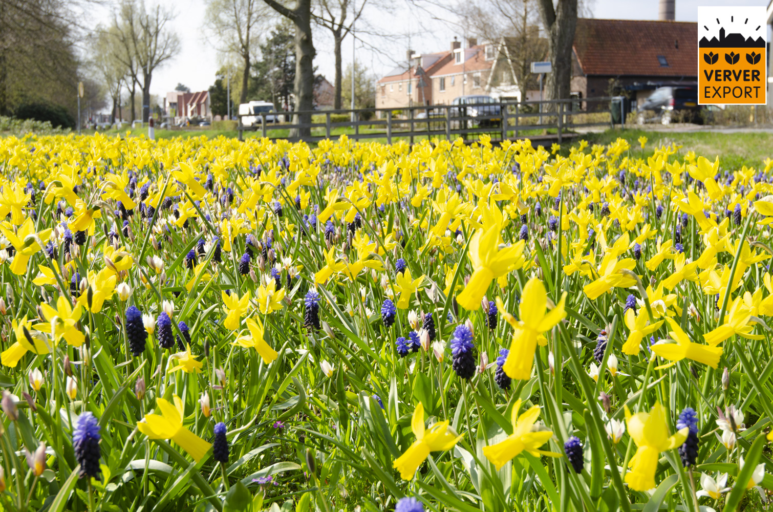 Verver Export machinaal planten