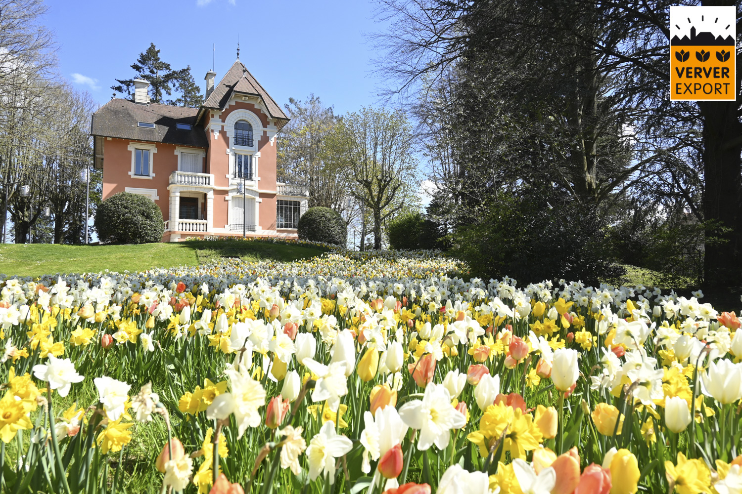 Verver Export machinaal planten