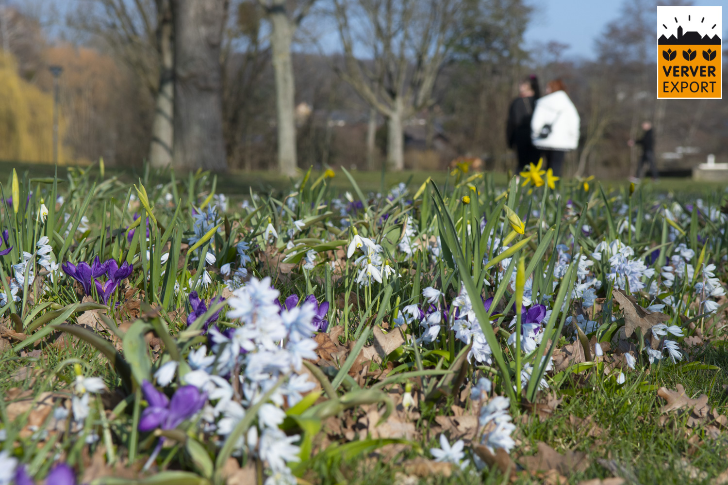 Verver Export machinaal planten