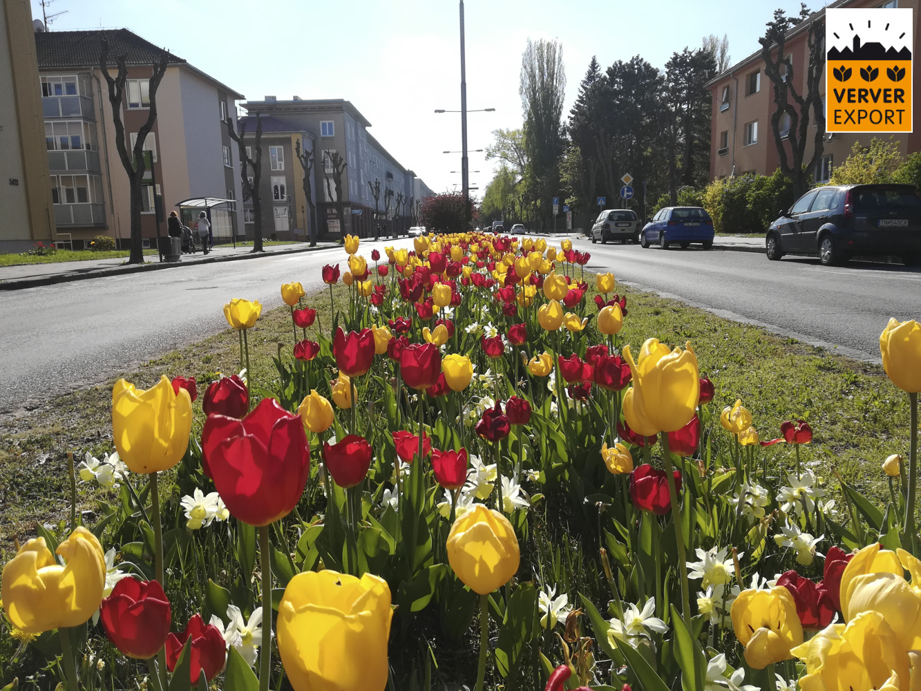 Verver Export machinaal planten