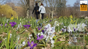 Verver Export Bloemenweide