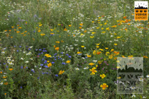 Verver Export Bloemenweide