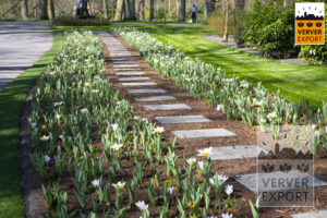 Keukenhof Verver Export