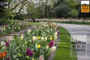 Verver Export Keukenhof