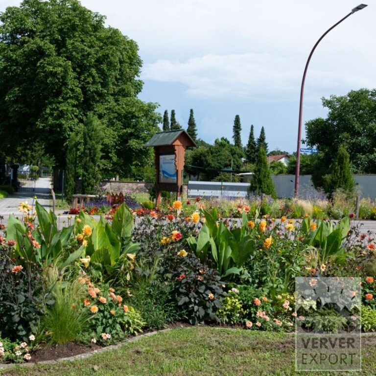 Zomer Tram Verver 'Ardeur Festival' © / 5 m² (29308)