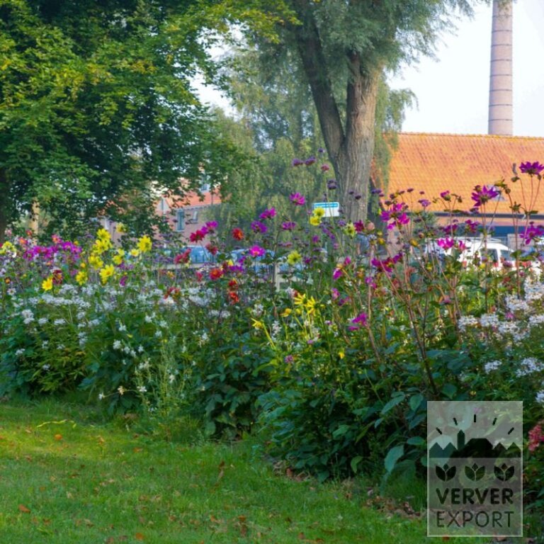 Zomer Tram Verver 'Bees & Butterflies' © / 6 m² (29309) - Afbeelding 2