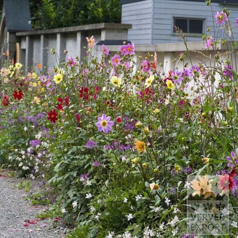 Zomer Tram Verver 'Bees & Butterflies' © / 6 m² (29309)