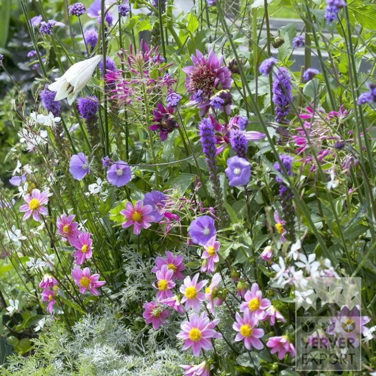 Zomer Tram Verver 'Bouquet Estival Romantique' © / 5 m² (29311) - Afbeelding 2
