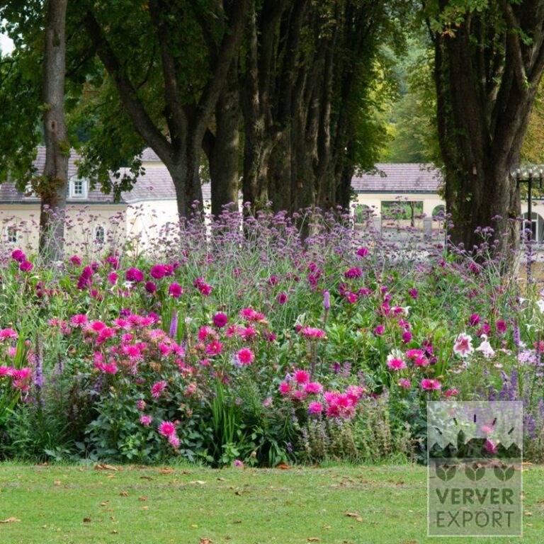Zomer Tram Verver 'Bouquet Estival Romantique' © / 5 m² (29311)