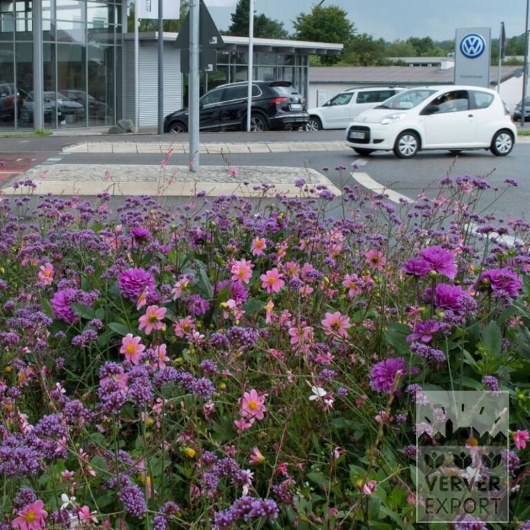Zomer Tram Verver 'Sylphide' © / 5 m² (29319) - Afbeelding 2