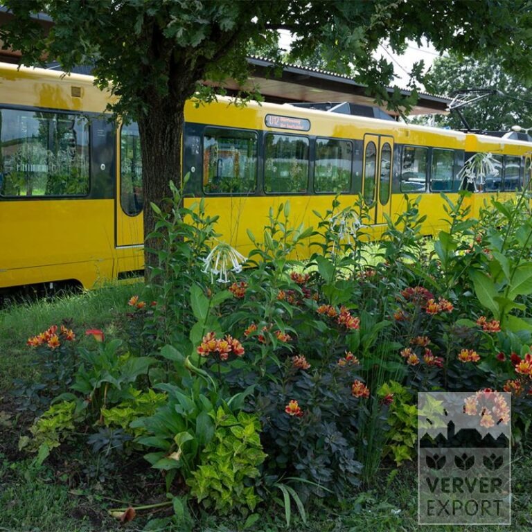 Zomer Tram Verver 'Dancer in the Dark' © / 7 m² (29376) - Afbeelding 3