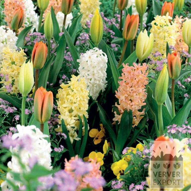 Mix Verver 'Parfum des Vosges' © (11151)