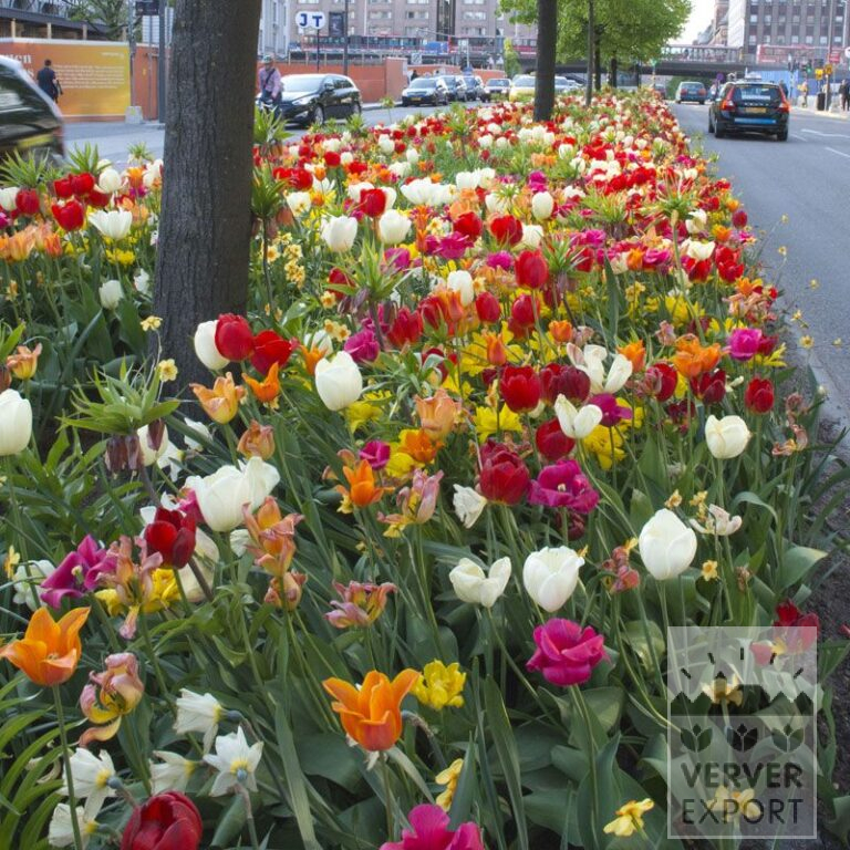 Mix Verver 'Stockholm' © (11350)