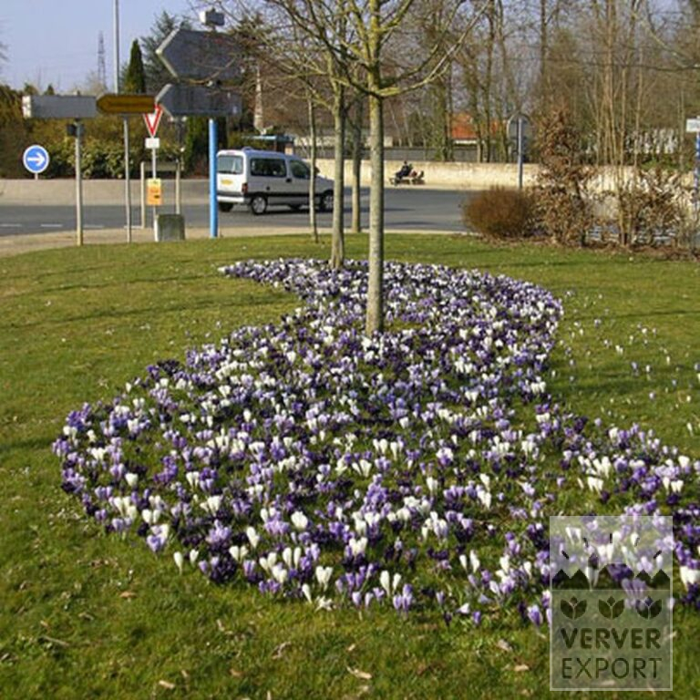 Mix Verver 'Océanique' © (11003) - Afbeelding 2