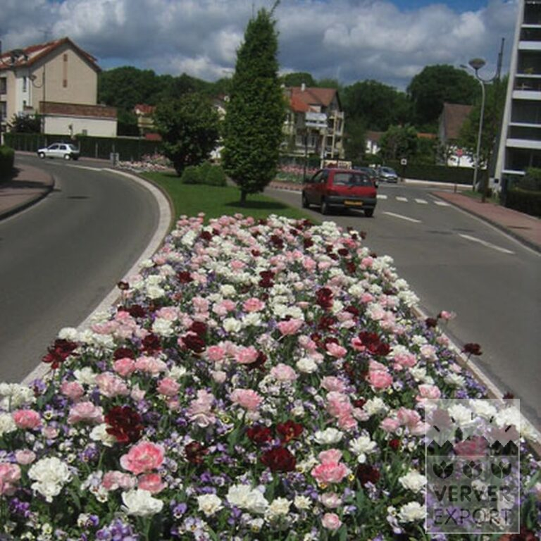 Mix Verver 'Ville de Vélizy' © (11087) - Afbeelding 2