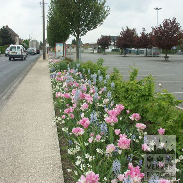 Mix Verver 'Ville de Billy-Berclau' © (11172) - Afbeelding 2