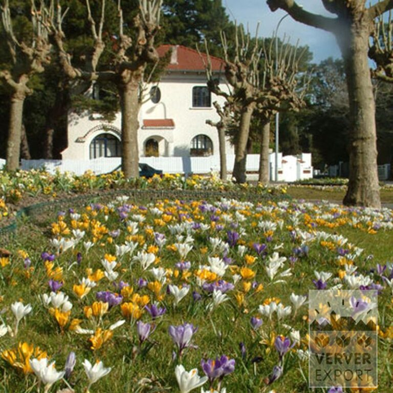 Mix Verver 'Heiloo' © (11002) - Afbeelding 2