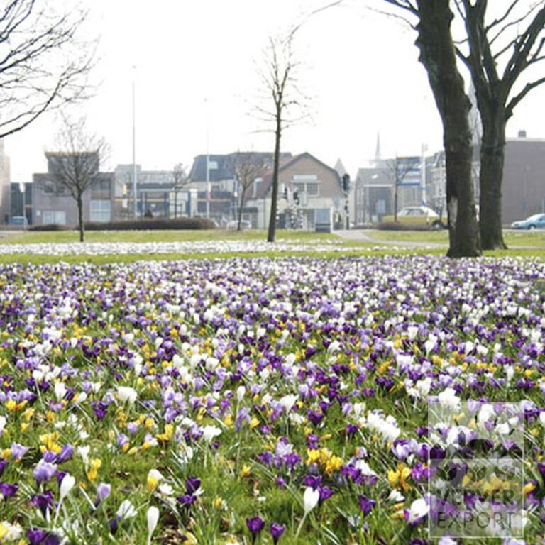 Mix Verver 'Heiloo' © (11002) - Afbeelding 4