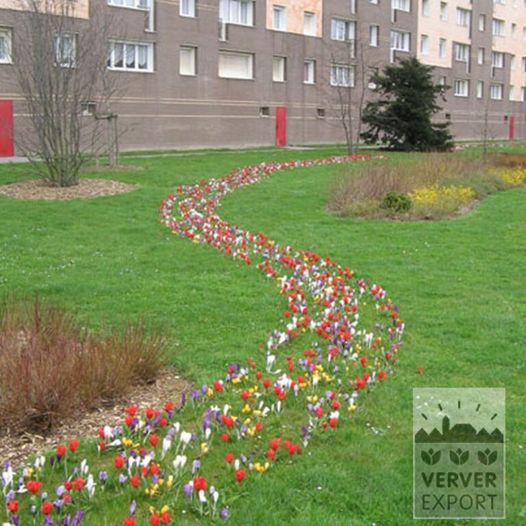 Mix Verver 'Texel' © (11004) - Afbeelding 2