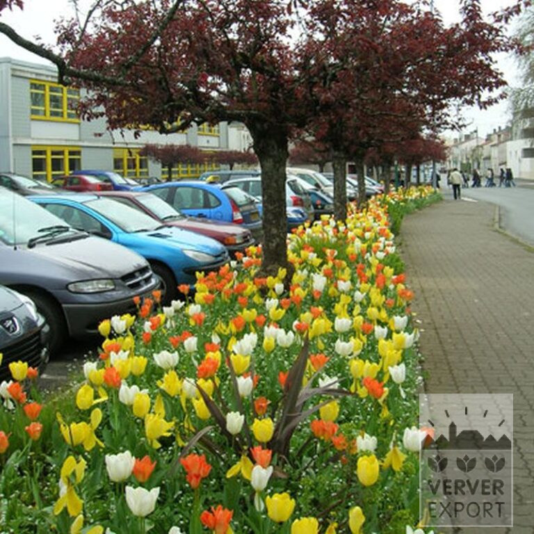 Mix Verver 'Ville d'Auxerre' © (11027) - Afbeelding 6