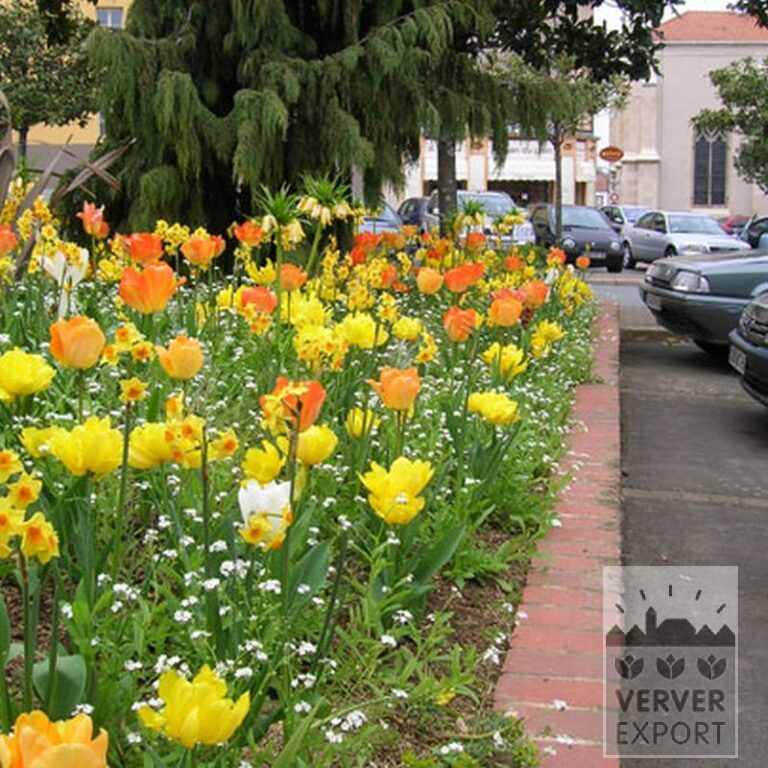 Mix Verver 'Ville de Toulon' © (11156) - Afbeelding 4