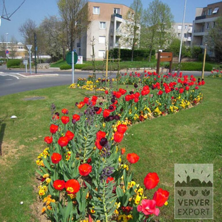 Mix Verver 'Jacqueline' © (11208) - Afbeelding 2