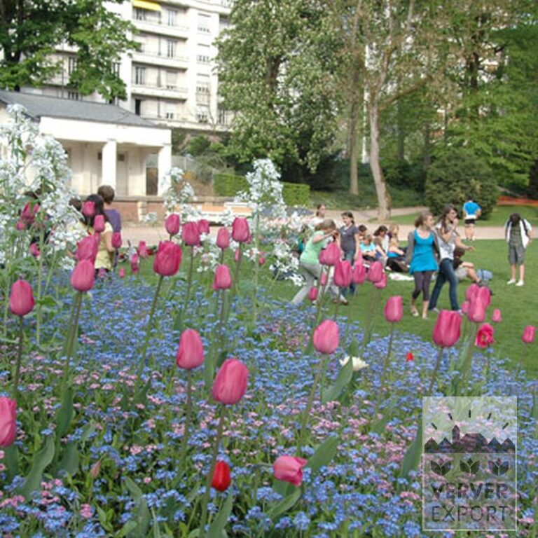 Tulpen 'Pink Impression' (12181) - Afbeelding 2