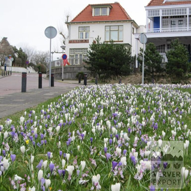 Mix Verver 'Nature' © (11001) - Afbeelding 2