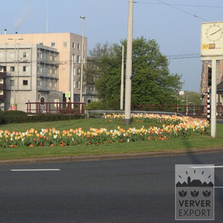 Mix Verver 'Ville d'Auxerre' © (11027) - Afbeelding 8