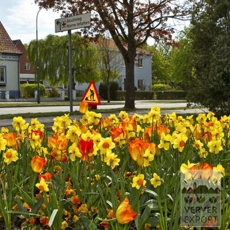 Mix Verver 'Ville de Riom' © (11154) - Afbeelding 4