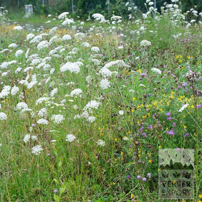 Kits 'Nature Evolution' © (11592) - Afbeelding 4