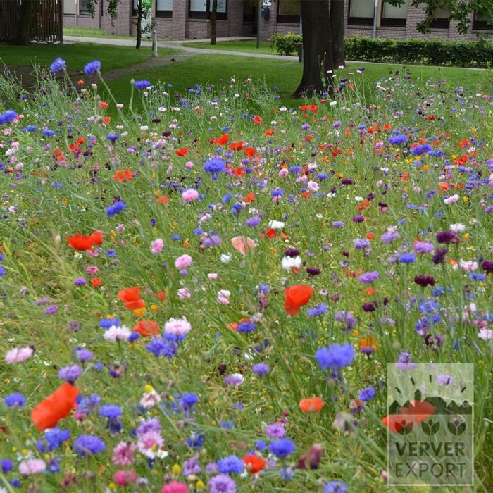 Kits 'Nature Fiesta' © (11791) - Afbeelding 4